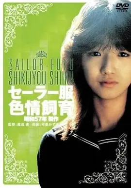 隐入尘烟